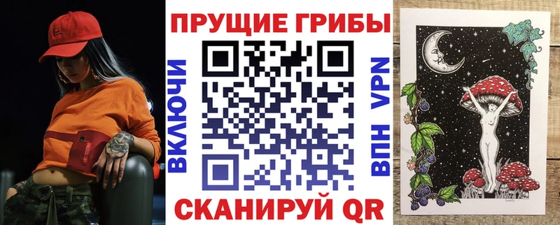 Псилоцибиновые грибы прущие грибы Сунжа