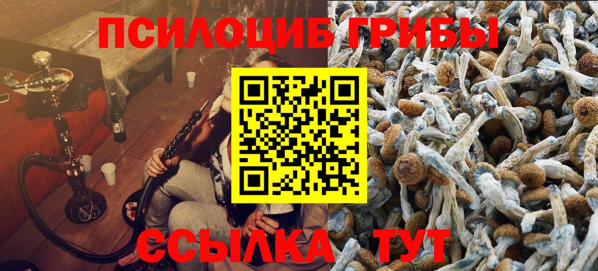 Псилоцибиновые грибы Cubensis  Сунжа  Галлюциногенные грибы MAGIC MUSHROOMS 