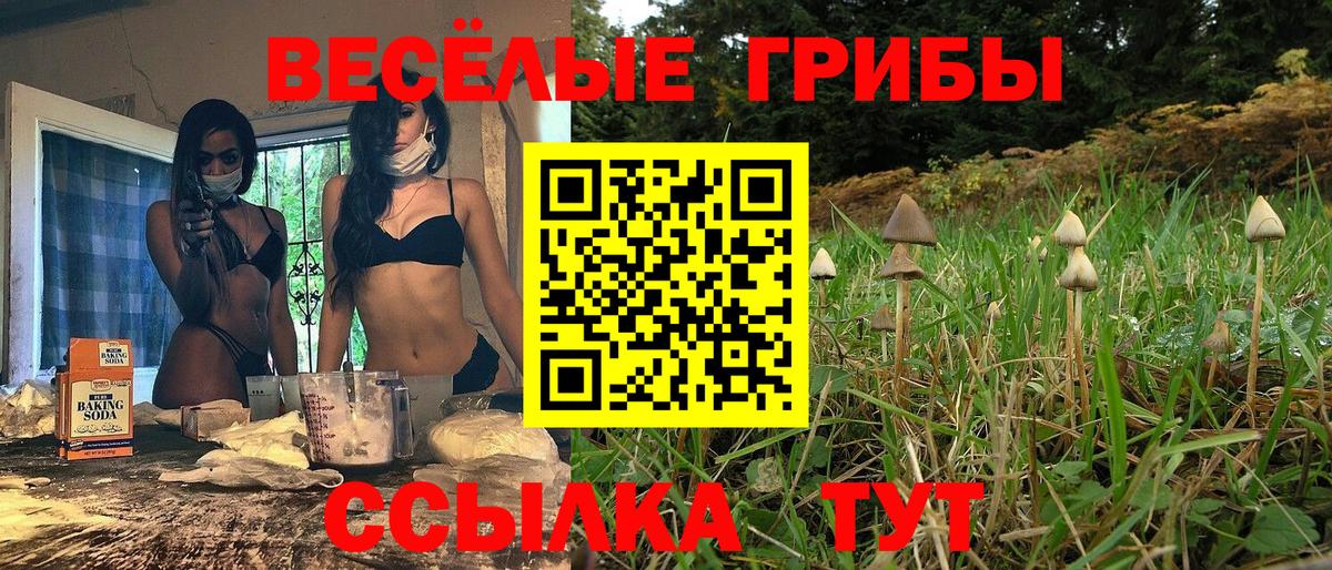 Галлюциногенные грибы ЛСД  Вход с VPN  Сунжа 