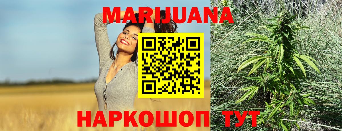 Бошки Шишки индика  Канабис план  Сунжа 